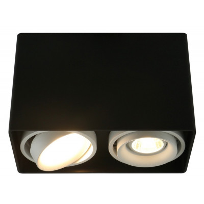 Потолочный светильник Arte Lamp A5655PL-2BK