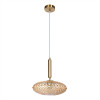 Светильник подвесной Divinare OKAB 5005/17 SP-1