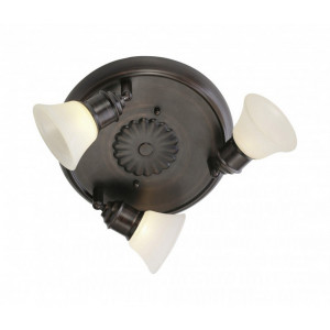 Спот Eglo Alamo 89061