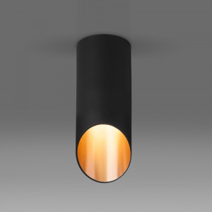 Накладной светильник Elektrostandard DLN114 (a050120)