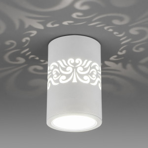 Накладной светильник с подсветкой Elektrostandard DLS025 (a047684)