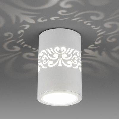 Накладной светильник с подсветкой Elektrostandard DLS025 (a047684)