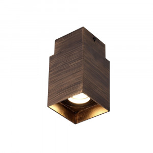 Потолочный светильнк Favourite Retro 2794-1C