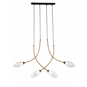 Подвесной светильник Fiore Indigo 13001/4P Black