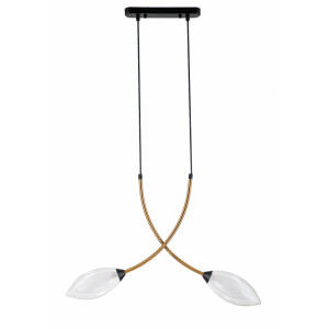 Подвесной светильник Fiore Indigo 13001/2P Black