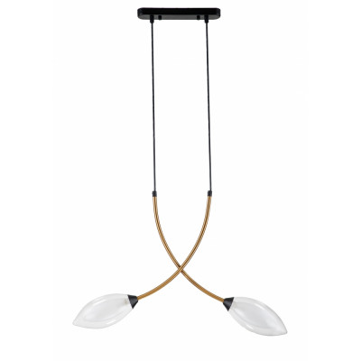 Подвесной светильник Fiore Indigo 13001/2P Black