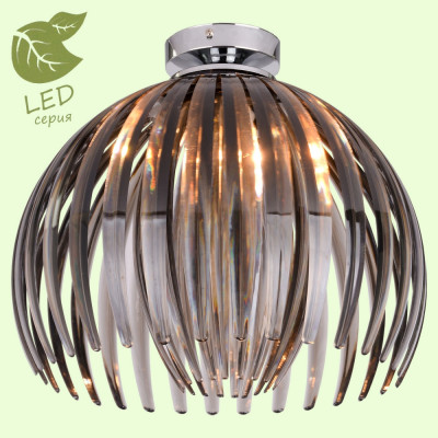 Потолочный светильник Lussole Lgo GRLSP-9539