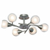 Потолочная люстра Lussole Lgo LSP-0141