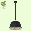 Подвесной светильник Lussole Loft GRLSP-8044 Подвесной светильник Lussole Loft GRLSP-8044