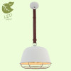 Подвесной светильник Lussole Loft GRLSP-8043 Подвесной светильник Lussole Loft GRLSP-8043