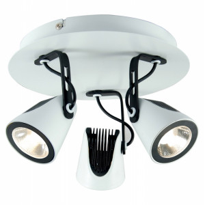 Спот Lussole Loft LSN-4101-03