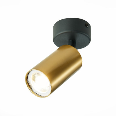 Спот St Luce ST303.202.01