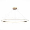 Подвесная светодиодная люстра St Luce OUT ST604.243.57