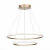 Подвесная светодиодная люстра St Luce OUT ST604.243.56