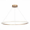Подвесная светодиодная люстра St Luce OUT ST604.243.46 Подвесная светодиодная люстра St Luce OUT ST604.243.46