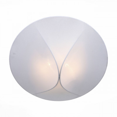 Накладной потолочный светильник ST Luce Tonico SL360.552.02