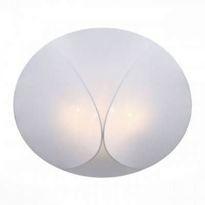 Накладной потолочный светильник ST Luce Tonico SL360.552.04