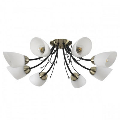 Потолочная люстра Lumion Eliana 4592/8C