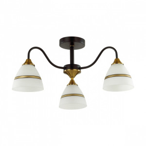 Потолочная люстра Lumion Nettie 5214/3C