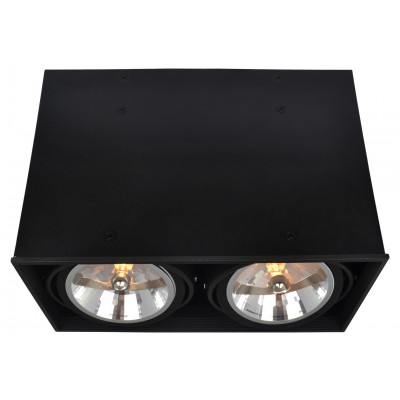 Потолочный светильник Arte Lamp Cardani A5936PL-2BK