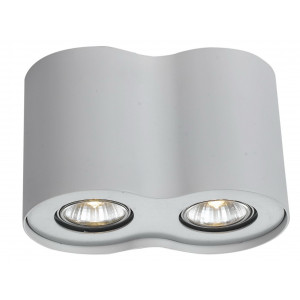 Потолочный светильник Arte Lamp Falcon A5633PL-2WH