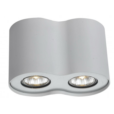 Потолочный светильник Arte Lamp Falcon A5633PL-2WH