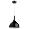 Подвесной светильник Arte Lamp Pendants A9077SP-1BK Подвесной светильник Arte Lamp Pendants A9077SP-1BK