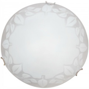 Настенный светильник Arte Lamp Leaves A4020PL-1CC