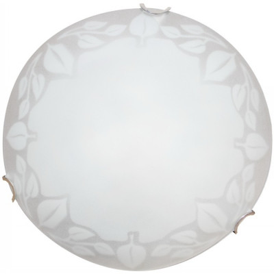 Настенный светильник Arte Lamp Leaves A4020PL-1CC
