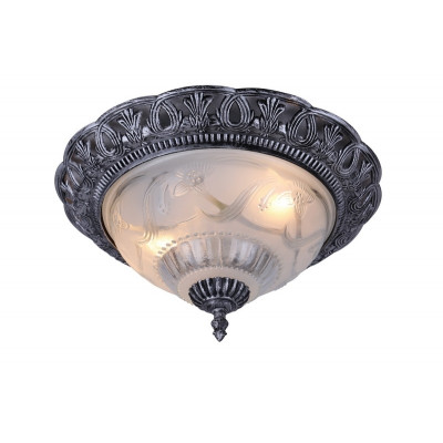 Потолочный светильник Arte Lamp Piatti A8001PL-2SB