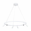 Подвесная люстра Arte Lamp Ring A2186SP-1WH