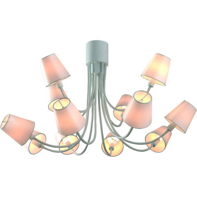 Потолочная люстра DIVINARE BUCANEVE 7302/03 PL-12