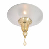 Потолочный светильник Divinare Goccia 4002/01 PL-2 Потолочный светильник Divinare Goccia 4002/01 PL-2