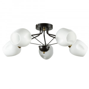 Потолочная люстра Arte lamp Brighton A2706PL-5CK