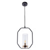 Подвесной светильник Celaeno Arte Lamp A7004SP-1BK
