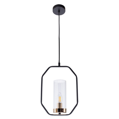 Подвесной светильник Celaeno Arte Lamp A7004SP-1BK