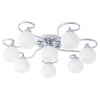 Потолочная люстра Arte Lamp A6058PL-8CC