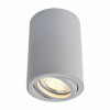 Потолочный светильник Arte Lamp A1560PL-1GY Потолочный светильник Arte Lamp A1560PL-1GY