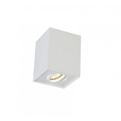 Потолочный светильник Crystal Lux CLT 420C WH