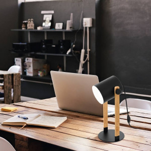 Настольная лампа Eglo Hornwood 43047