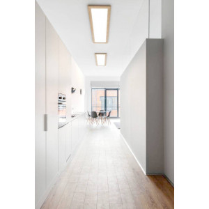 Потолочный светильник Eglo Piglionasso 99473