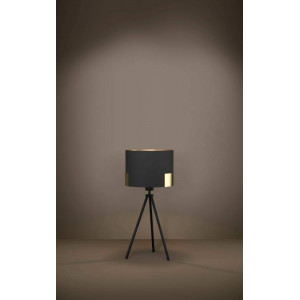 Настольная лампа Eglo Tortola 1 39965