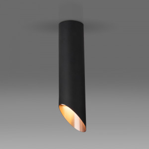 Накладной светильник Elektrostandard DLN115 (a050122)