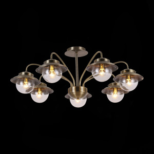 Люстра на штанге Evoluce Garonni SLE110102-07