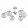 Люстра потолочная Evoluce VERONA SLE106602-06