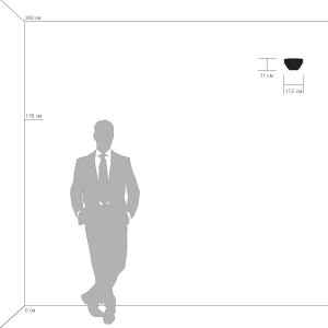 Настенный светильник Lightstar Agola 810811 Настенный светильник Lightstar Agola 810811