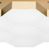 Потолочный светильник Lightstar Sote 750073