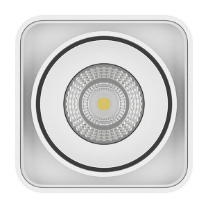 Потолочный светодиодный светильник Lightstar Monocco 052336