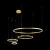 Подвесная люстра Loft it Ring 10017/4M