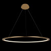 Светильник подвесной светодиодный LOFTIT Ring 10014XL